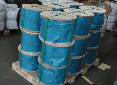 Steel Wire Rope 6X19+Iwrc with Packed Pallet