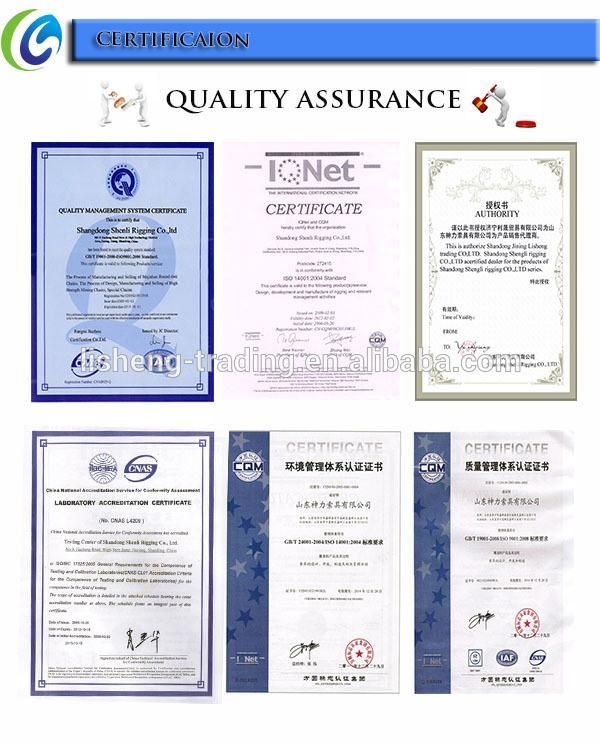 Wholesale Cheap G80 Swivel Hook with Bearing