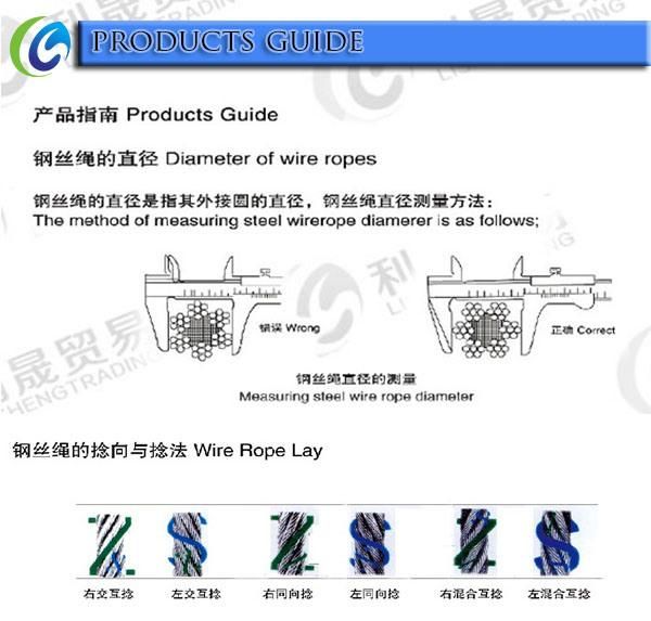 Steel Cable Stainless Steel 304 316 7*7 7*19 Ss Wire Rope