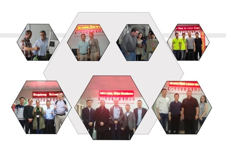 OEM Manufacturing Wholesale Linear Spring Stainless Steel Metal Wire Forming Bending Springs