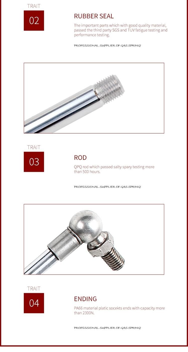 SS316 Gas Springs with SS316 Ball Studs Hot Sale