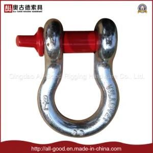 Us Type Forged Carbon Steel Bow Shackle with Color Screw Pin