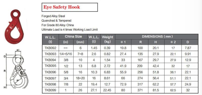 G80 Forged Riging Hardware Self Locking Hook with Latch