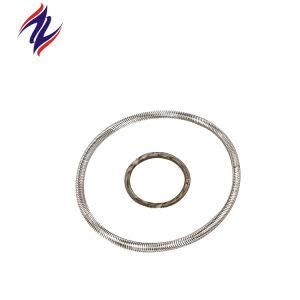 Custom High Precision Stainless Steel Seal Spring with High Quality