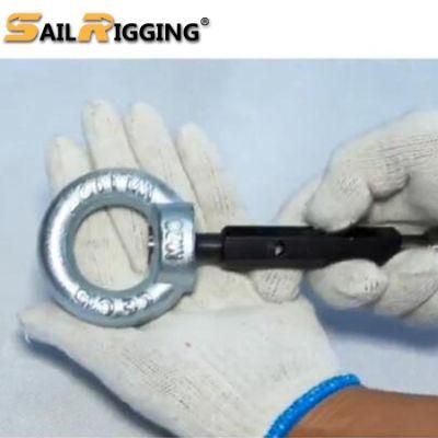 Rigging Drop Forged Galvanized DIN582 Steel Lifting Eye Nut