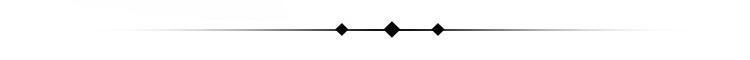 C2052 Double Pitch Conveyor Chains