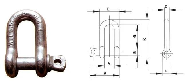 Superior Service G-210 Us Type D Shackle with Screw Pin