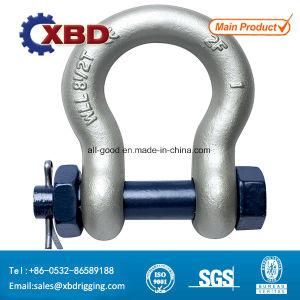 Us Type Drop Forged Safety Bow Shackle with Bolt and Nut G2130