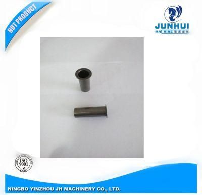 Customized Higg Precision Steel Metal Plug with Plain Surface