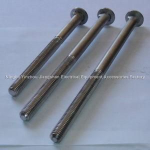 Carriage Bolts