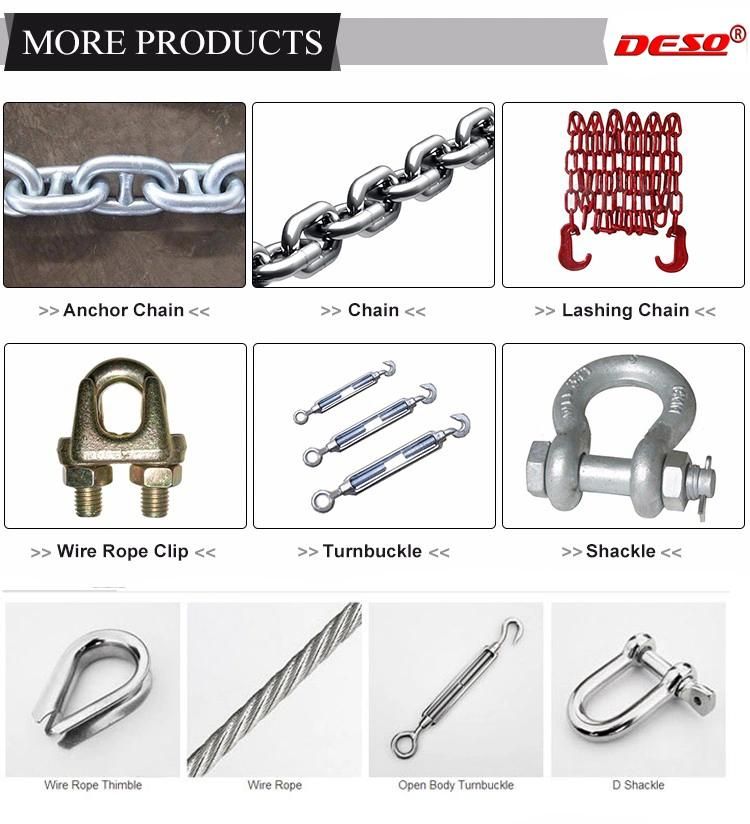 Us Type Steel Chain D Shackle with Screw Pin