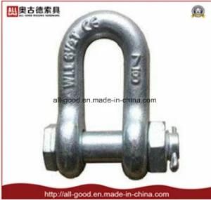 Rigging Us Type Forged Chain Lifting Shackle