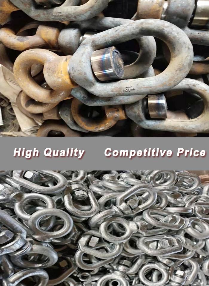 Stainless Steel Euro. Type Swivel with Eye and Eye