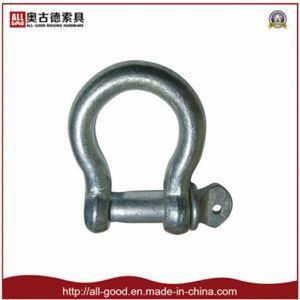 Galvanized European Type Large Bow Shackle