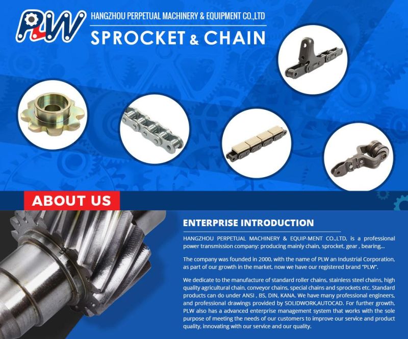 Standard Roller Chain From China