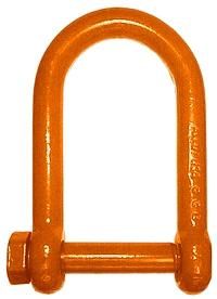 Alloy Steel D Shackle with Screw Pin