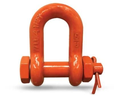 20 Year Experience High Tensile Stable Quality Economical and Practical D Shackle for Chain Sling