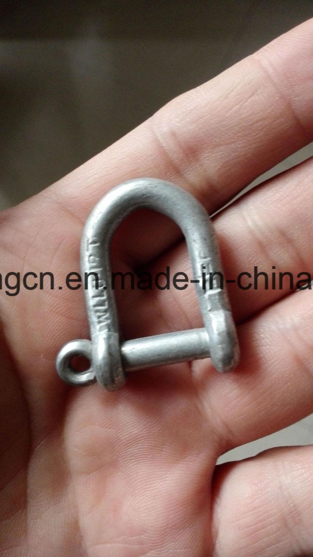 Customed Size Forged Lifting D Shackle D Ring with Screw Pin