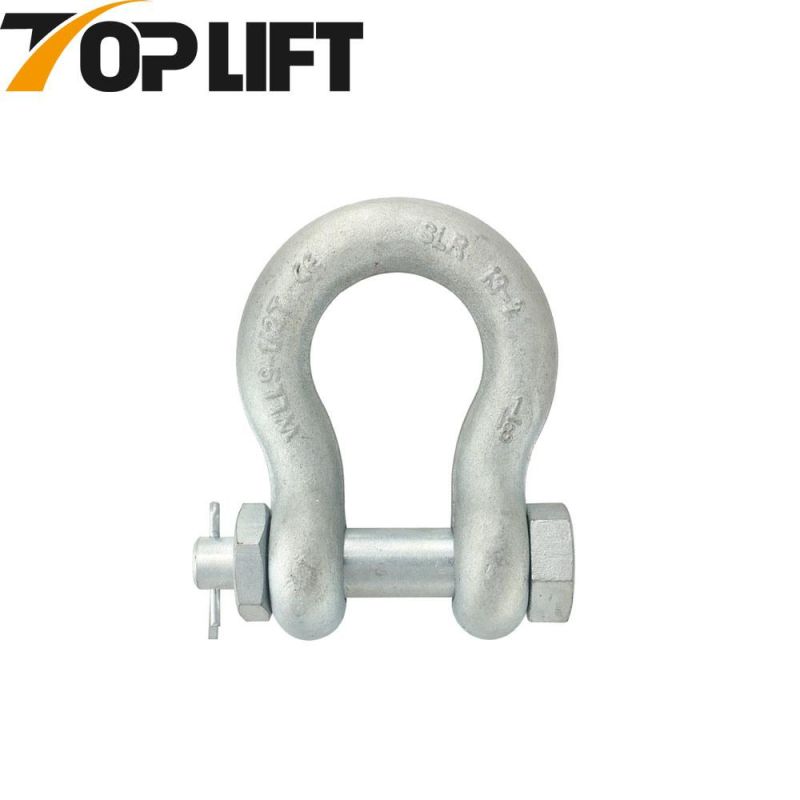 Stainless Steel Long D Type Shackle with Screw