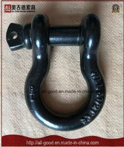 Hot Sale Black Painted Forged Bow Shackle with Pin