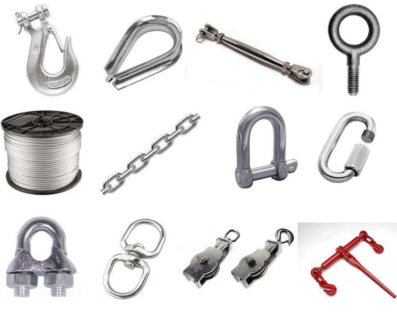 Us Type Galvanized Steel D Shackle for Marine Harware