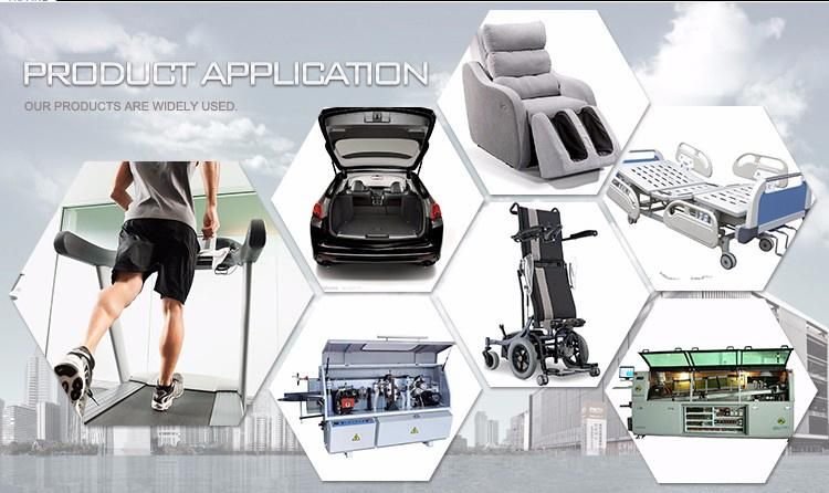 Professional Customized Gas Spring Auto Truck Lift