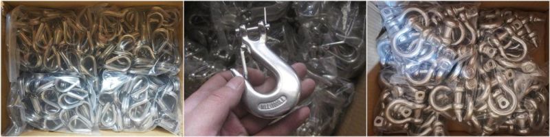 Stainless Steel AISI304/AISI316 Shackle, Wire Rope Clips, Turnbuckles, Rigging Hardware