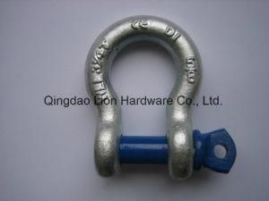 Screw Pin Anchor Bow Shackle G209