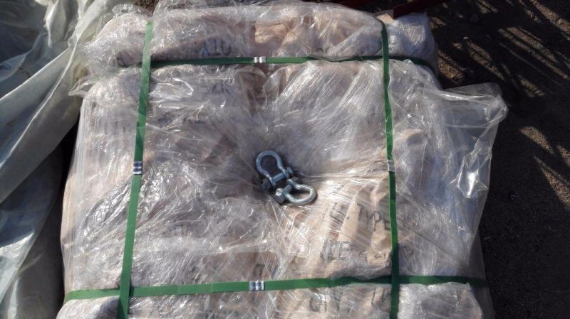 Stainless Steel Long D Shackle