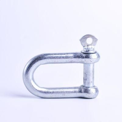 Steel European Type Large Square D Shackle with Screw Pin