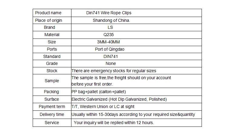 DIN741 Malleable Factory Wire Rope Clamps