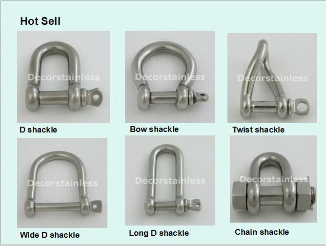 Stainless Steel Screw Pin Dee Shackle