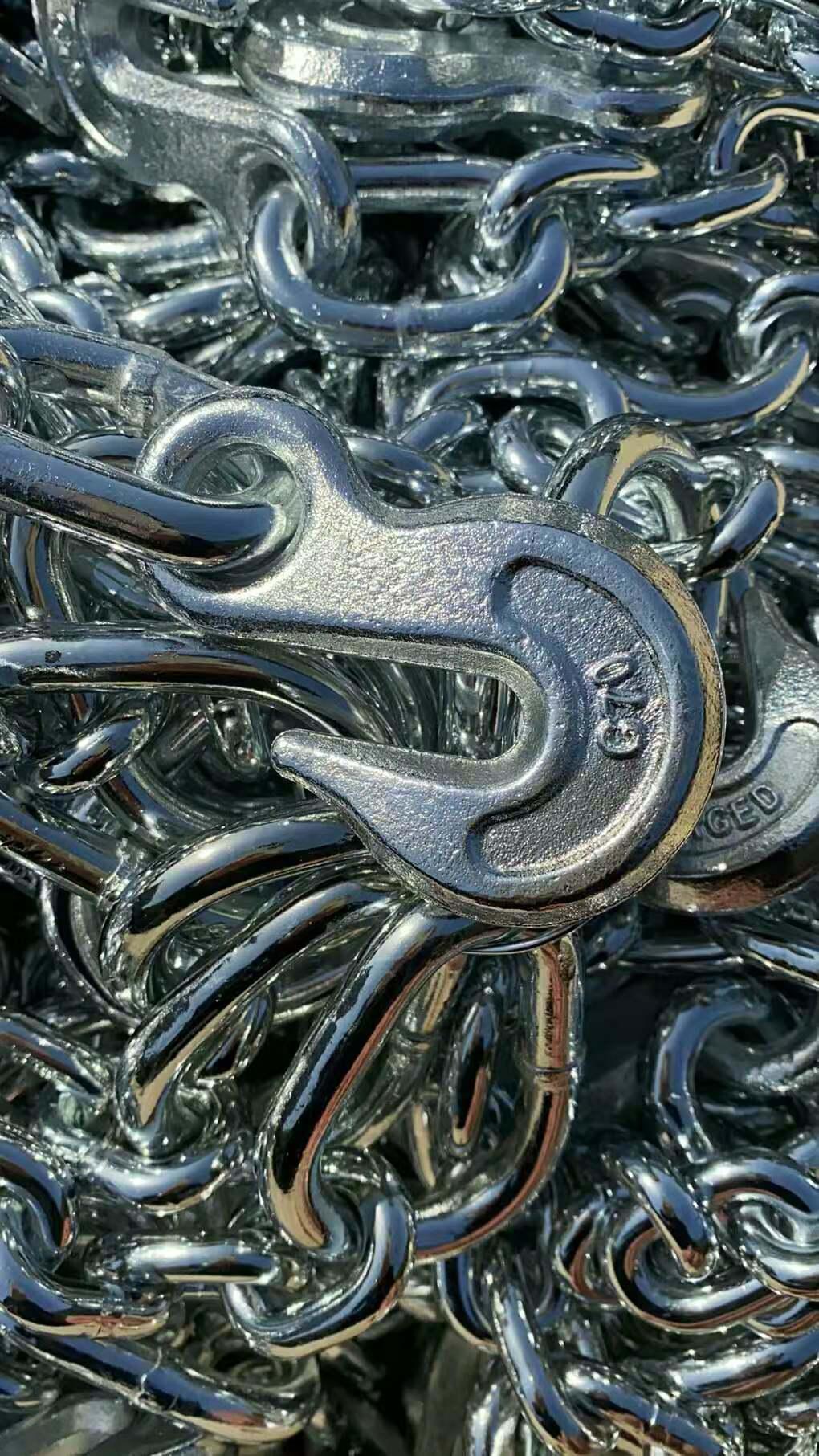 DIN Steel Galvanized Chain with Hook (K0221)