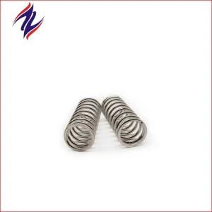 Custom Stainless Steel Cold Roll Compression Spring