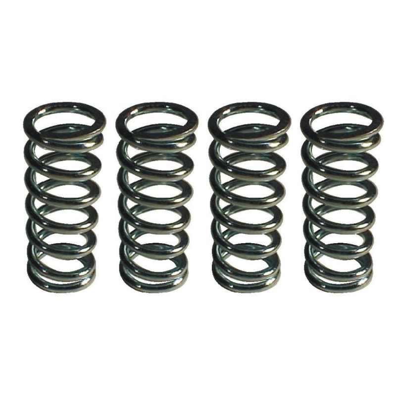 Direct Factory Stainless Steel Compression Spring