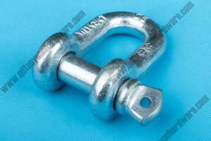 Galvanized G210 Drop Forged Screw Pin D Shackle