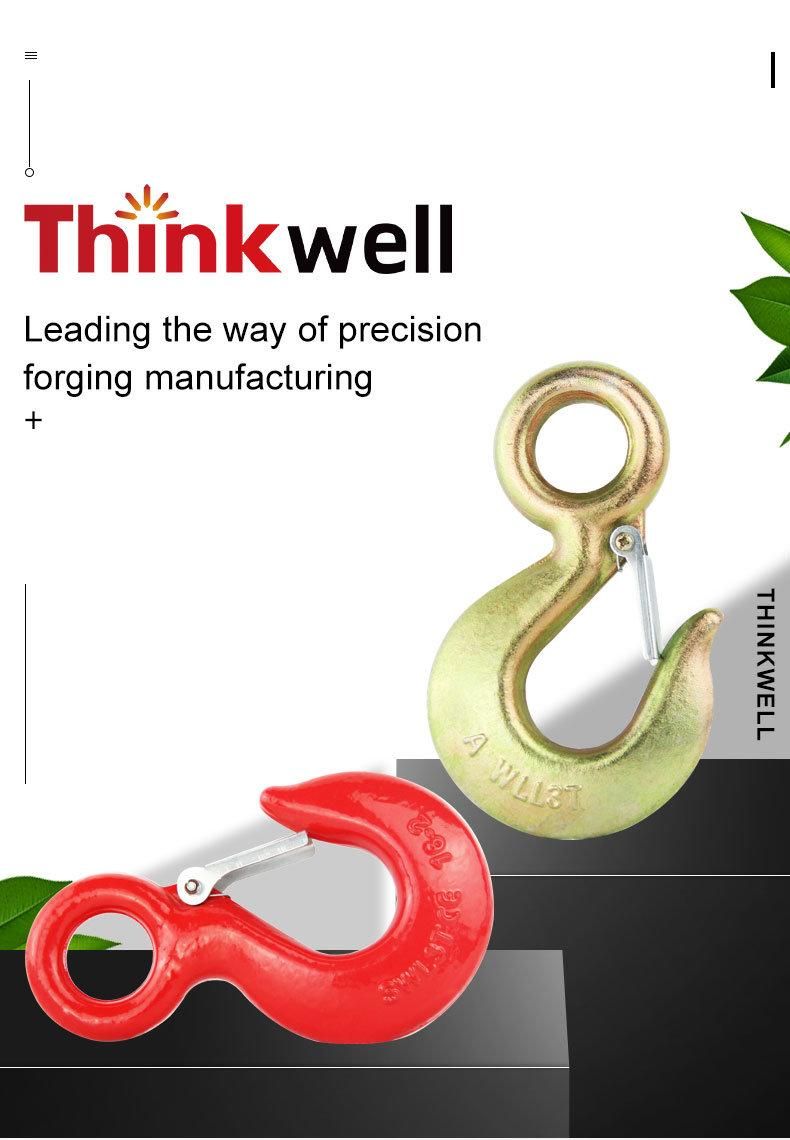 Thinkwell Us Type Forged 320 Eye Hook with Latch