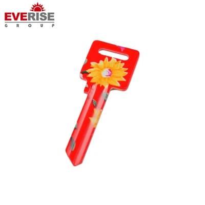 Low Price Color Key Blank Key with Painted Pictures Good Quality