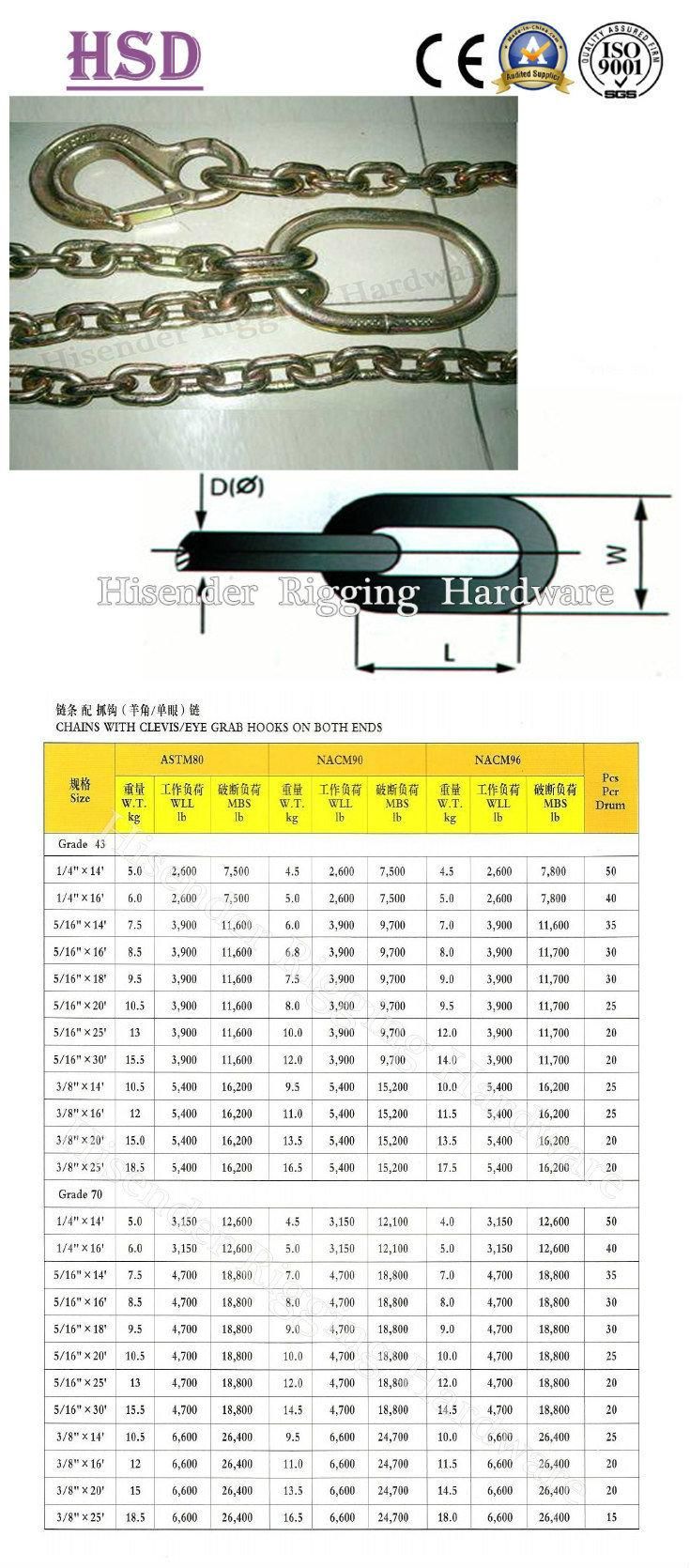 Transport Chain/Lashing Chain/Binding Chain with Hook for Wharf