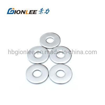 Customized Standard Flat Washer Ring