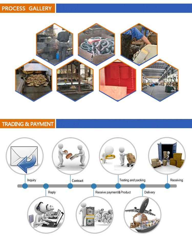 China Manufacturer Hot DIP Galvanized G2130 Anchor Shackle