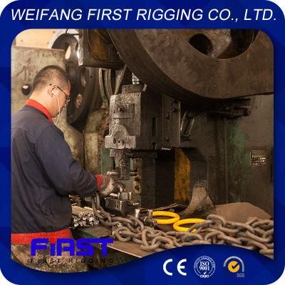 Professional Manufacturer of Color Painted Round Ring for Lifting