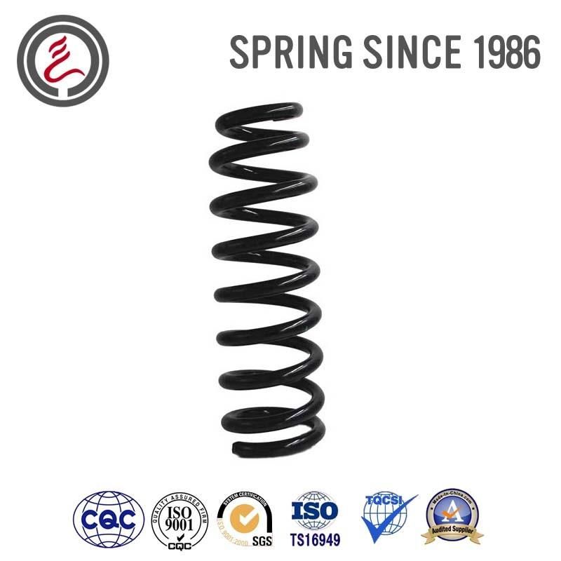 Large Wire Diameter Bearing Spring with Spray-Paint