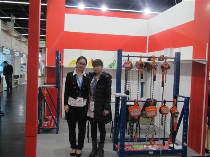 Grade 80 Alloy Steel Chain From China Supplier