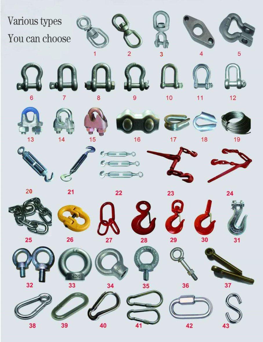 OEM Forged Screw Pin Anchor Shackle for Construction Lifting