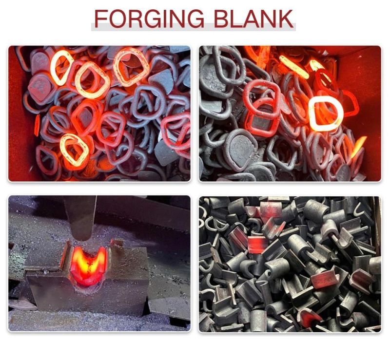 Forged Lashing D-Rings with Wrap Carbon Steel