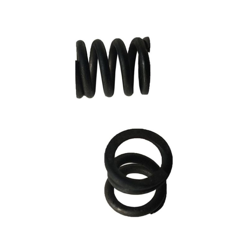 OEM Customized Different Kinds of Spring
