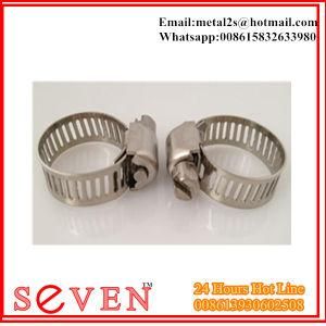 Customize American Hose Clamp