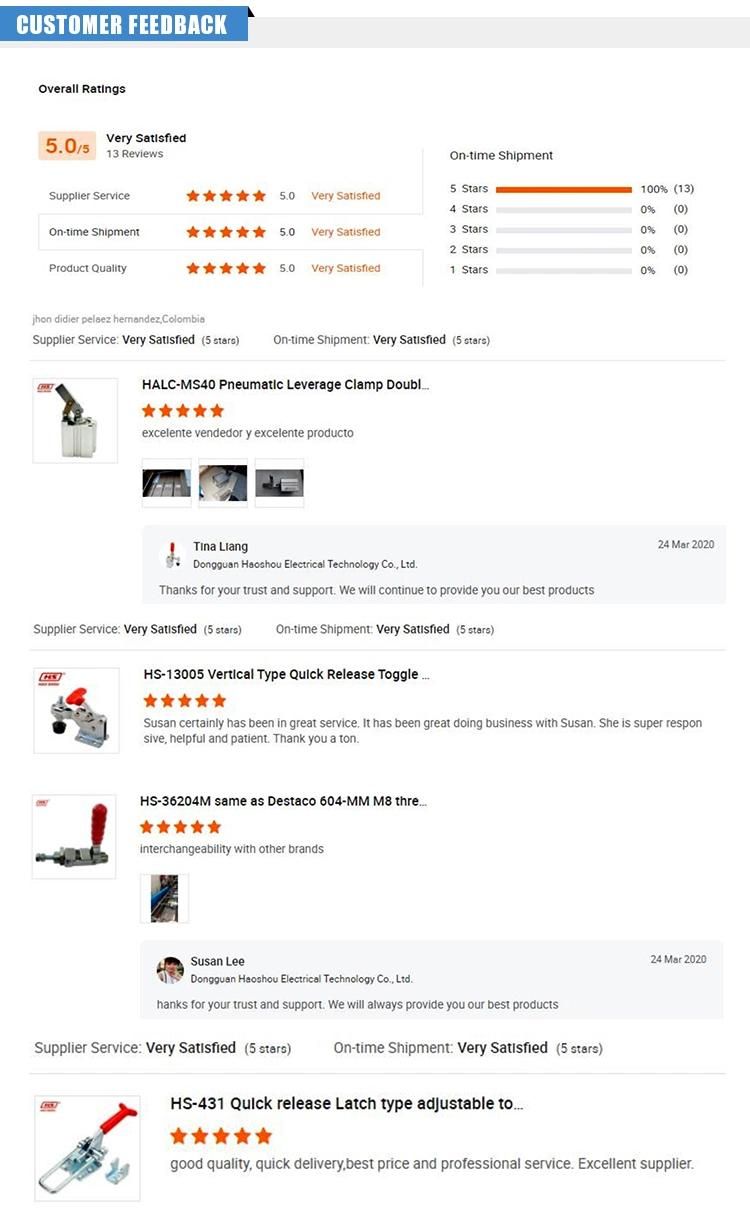 Taiwan Haoshou HS-304-Hm Quick Clamp Manufacturer Push Pull Down Toggle Clamp for Drilling Jigs