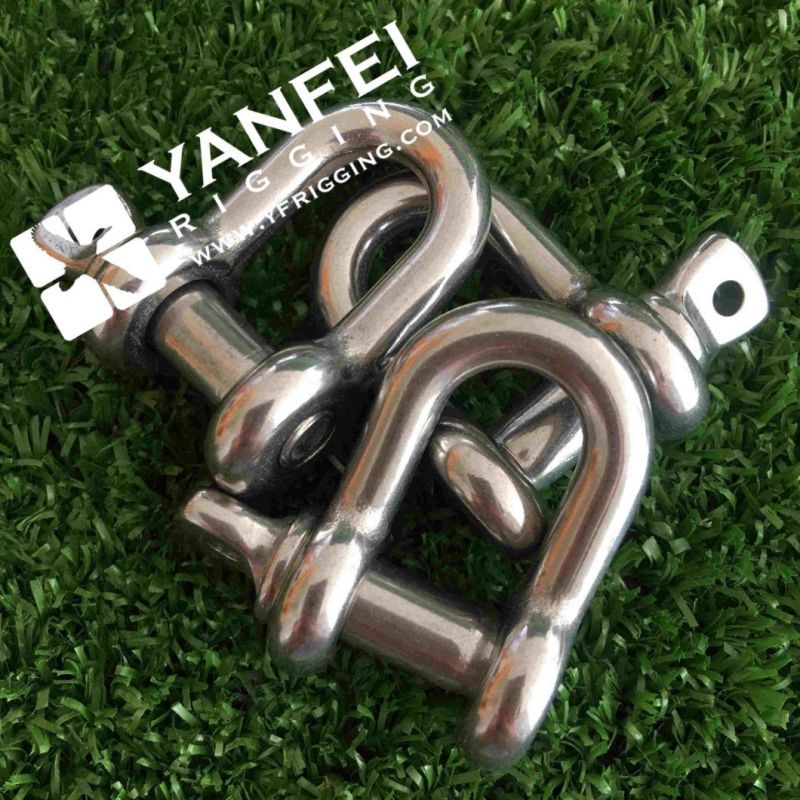 Stainless Steel European Type D Shackle
